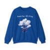Royal Blue Sweatshirt Brain Fog > WiFi Lag
